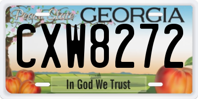 GA license plate CXW8272