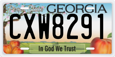 GA license plate CXW8291