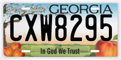 GA license plate CXW8295