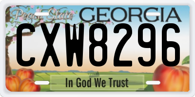 GA license plate CXW8296