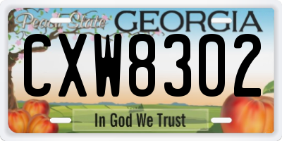 GA license plate CXW8302