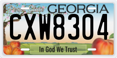 GA license plate CXW8304