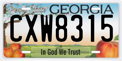 GA license plate CXW8315