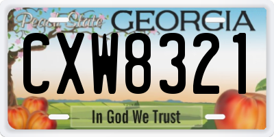 GA license plate CXW8321