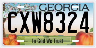 GA license plate CXW8324