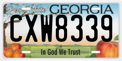 GA license plate CXW8339