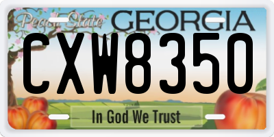 GA license plate CXW8350