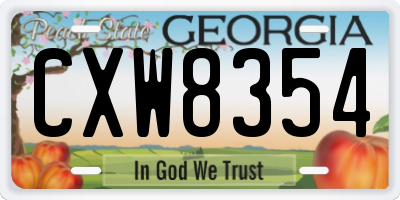 GA license plate CXW8354