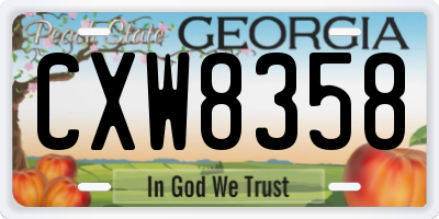 GA license plate CXW8358