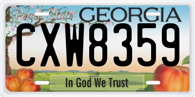 GA license plate CXW8359