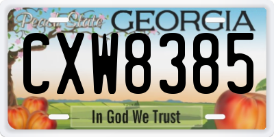 GA license plate CXW8385