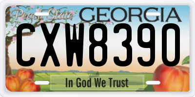 GA license plate CXW8390