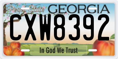GA license plate CXW8392