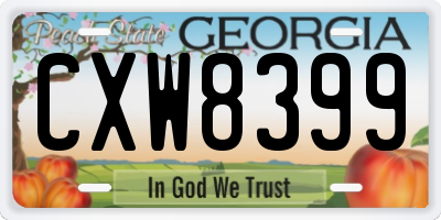 GA license plate CXW8399