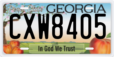 GA license plate CXW8405