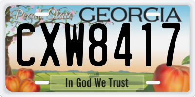 GA license plate CXW8417