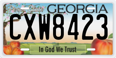 GA license plate CXW8423