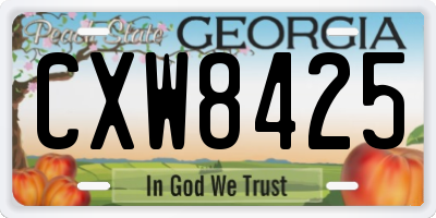 GA license plate CXW8425