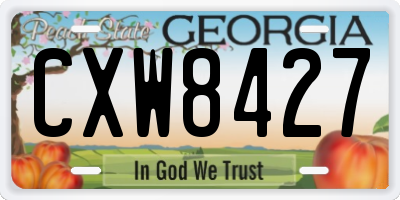 GA license plate CXW8427