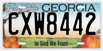 GA license plate CXW8442