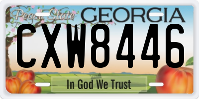 GA license plate CXW8446