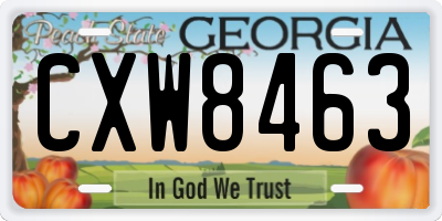 GA license plate CXW8463