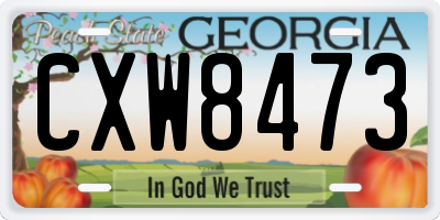 GA license plate CXW8473