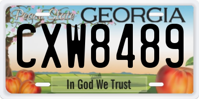GA license plate CXW8489