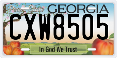 GA license plate CXW8505