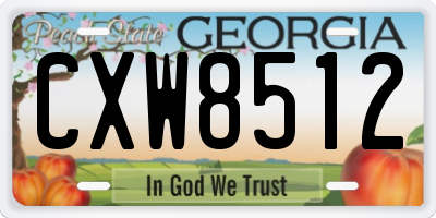GA license plate CXW8512