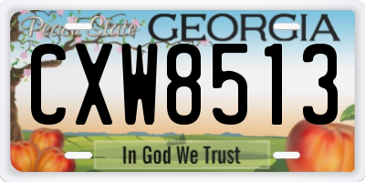 GA license plate CXW8513