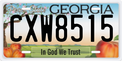 GA license plate CXW8515