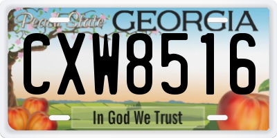 GA license plate CXW8516