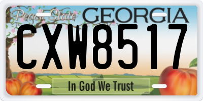 GA license plate CXW8517