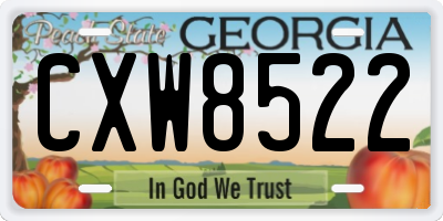 GA license plate CXW8522