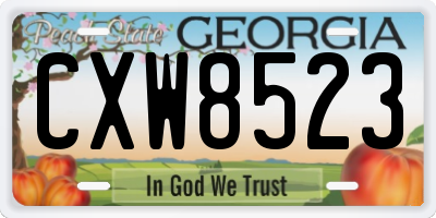 GA license plate CXW8523