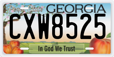 GA license plate CXW8525