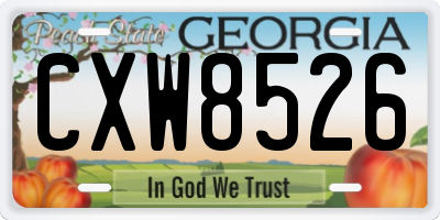 GA license plate CXW8526