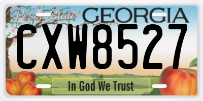 GA license plate CXW8527