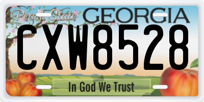GA license plate CXW8528