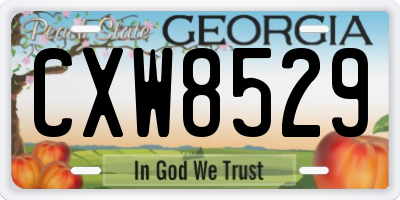 GA license plate CXW8529