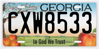 GA license plate CXW8533