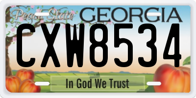 GA license plate CXW8534