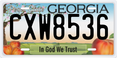 GA license plate CXW8536