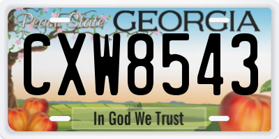 GA license plate CXW8543