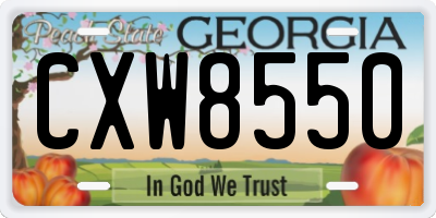 GA license plate CXW8550