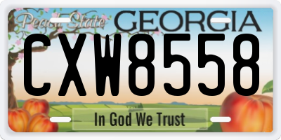GA license plate CXW8558