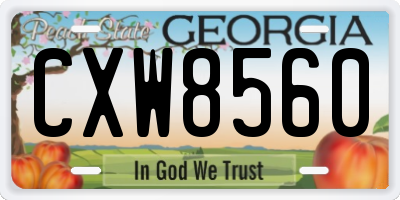 GA license plate CXW8560