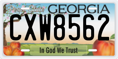 GA license plate CXW8562