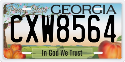 GA license plate CXW8564